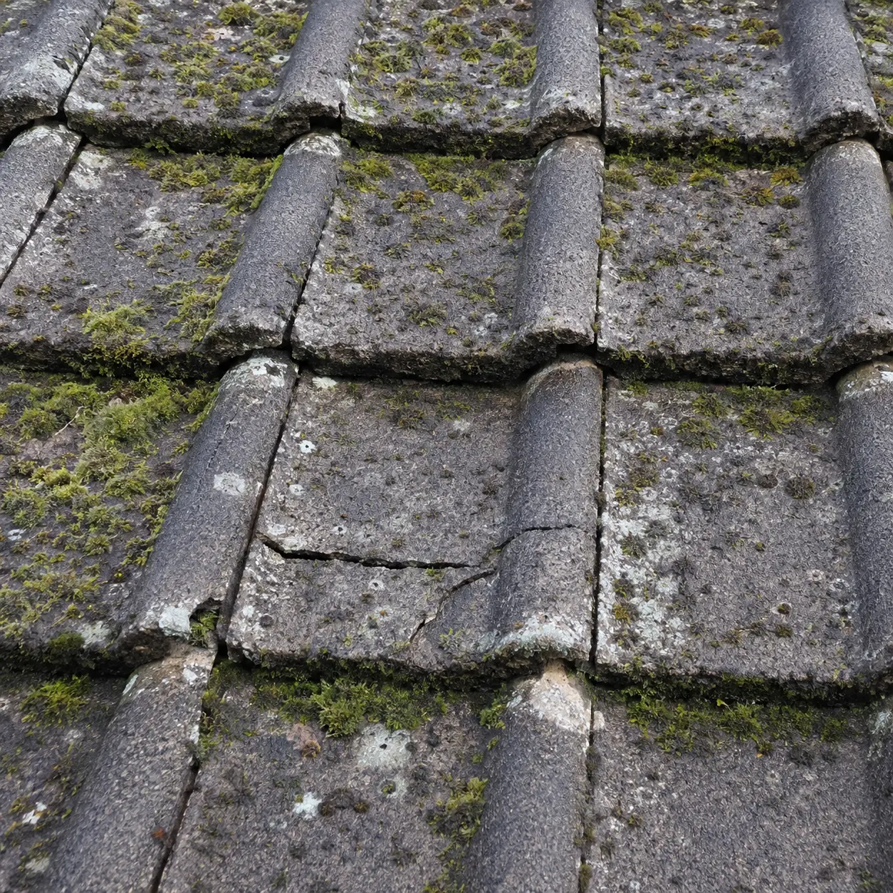 Heavy moss growth on worn concrete tiles on a Dublin roof