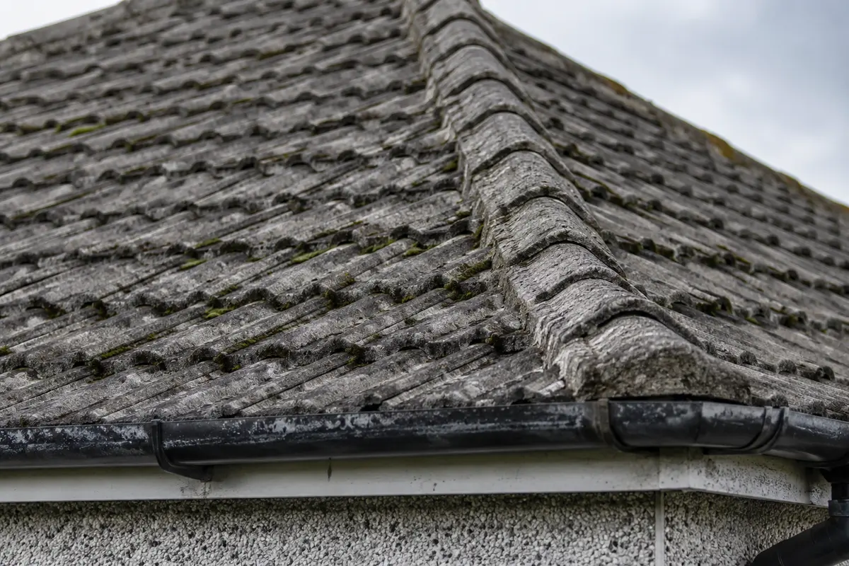 Roof detail on a 1950s estate house in Artane, Dublin