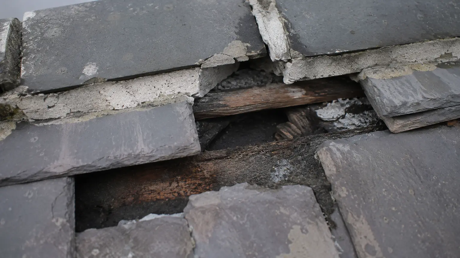 Close-up of storm damage to a roof covering