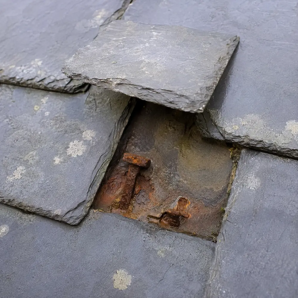 A lifted slate showing badly rust-eaten fixings on a Sandymount roof