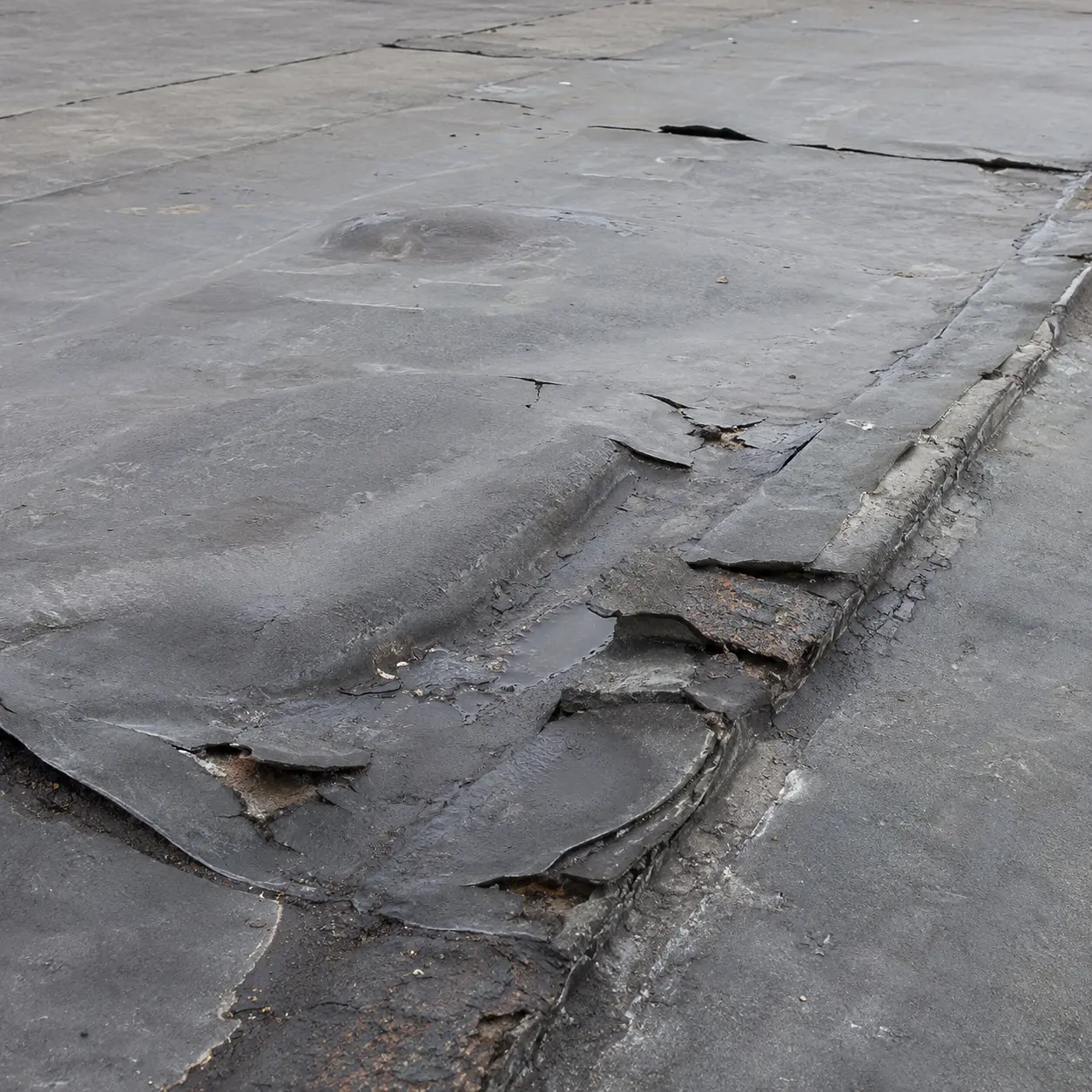 Blistered membrane before restoration