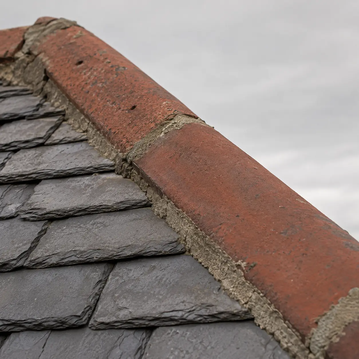 Ornamental clay ridge tiles on a period roof in Terenure