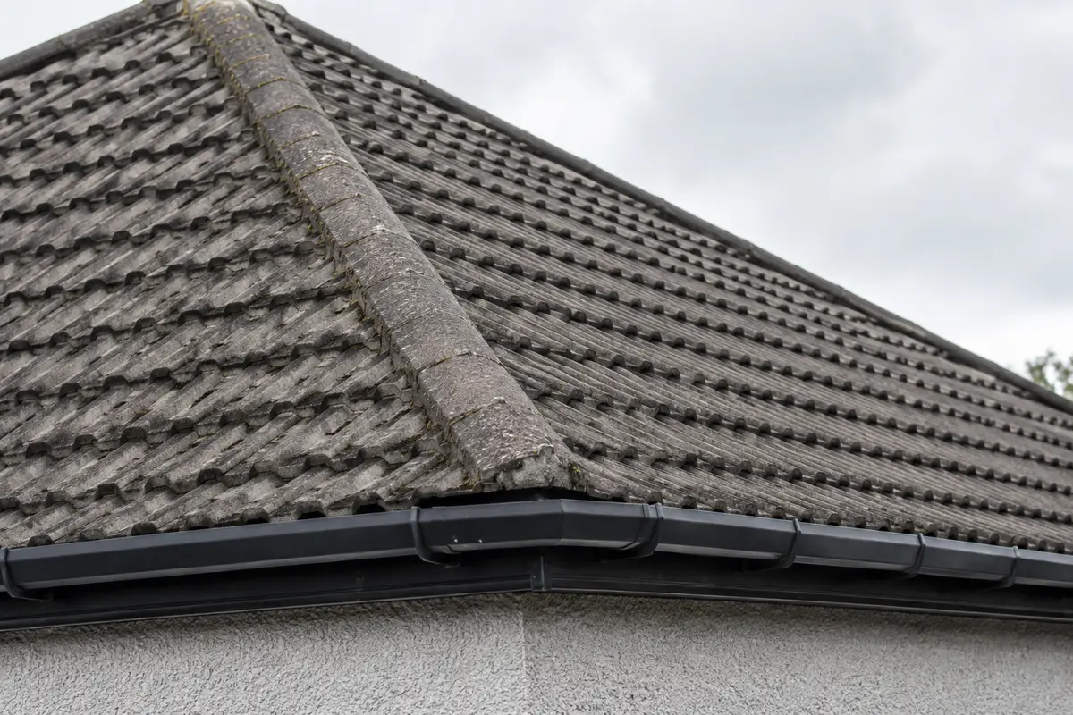 Roof detail on a 1960s home at Elm Mount, Dublin