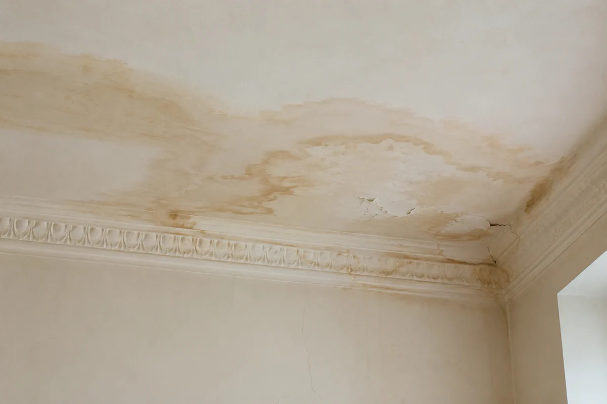A damp stain on a top-floor ceiling in a Dublin period home