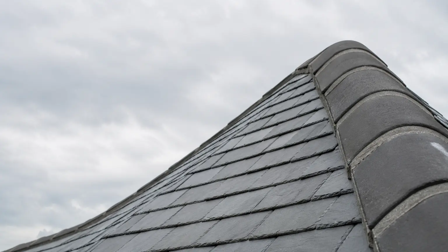 Moss on Roof Tiles: When It's Harmless and When It's a Problem
