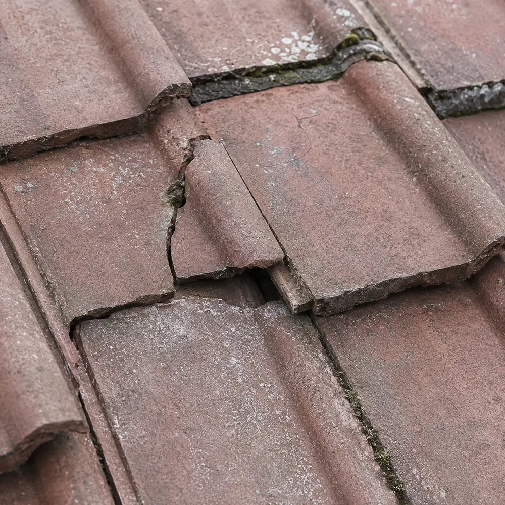 Weathered clay tile gone chalky on an older Dublin roof