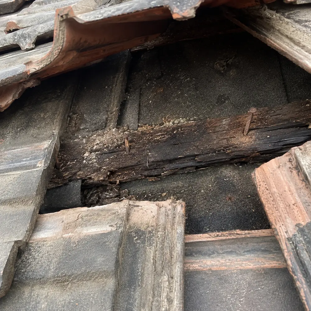 Rusted batten nails and perished timber exposed on a Dublin roof