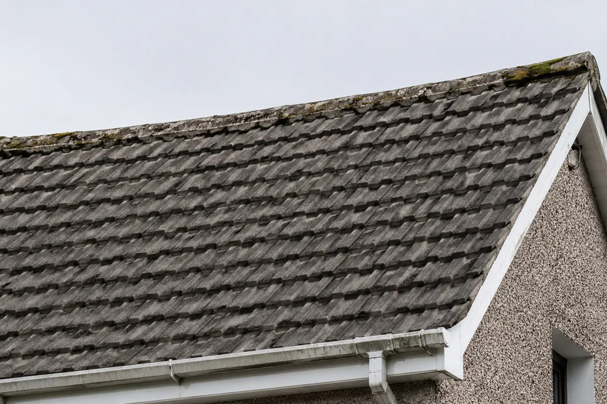 Roof detail on a 1960s estate house in Santry, Dublin